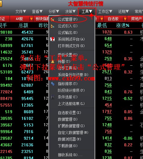 大智慧新一代公式源碼導入教程方法